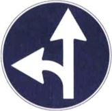figura 100
