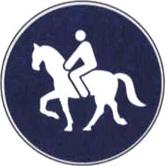 figura 116