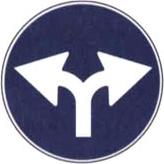 figura 98